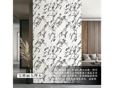 YSQ55-54 宝格丽黑